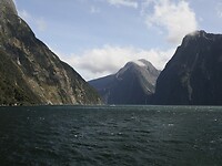 _NZ41973