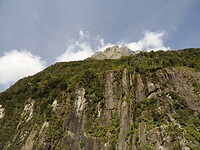 _NZ41983