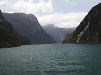 _NZ41996