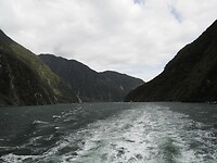 _NZ41999