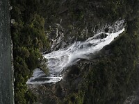 _NZ42049
