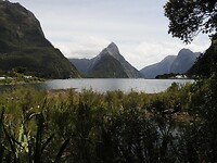_NZ42053