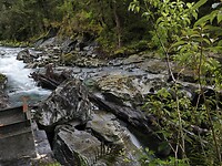 _NZ42068