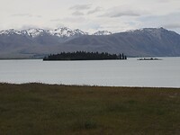 _NZ42303