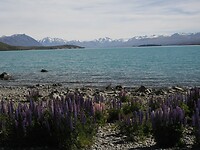 _NZ42327