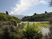 _NZ42347