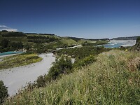 _NZ42354