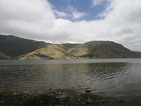 _NZ42363