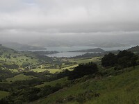 _NZ42369