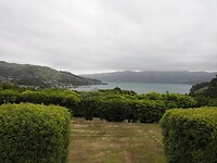 _NZ42371