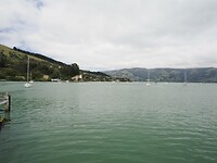 _NZ42377
