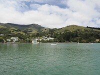 _NZ42380
