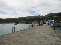 _NZ42381