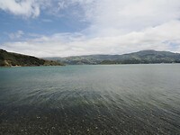 _NZ42386