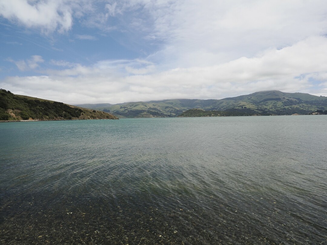 _NZ42386