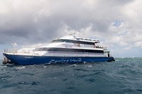 IMG_2534