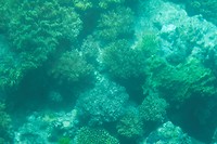 IMG_2543