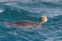 IMG_2574