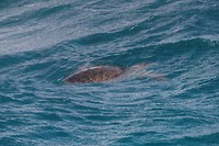 IMG_2577