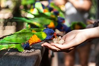 IMG_2951