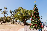 IMG_2979