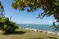 IMG_2983