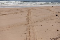 IMG_3119