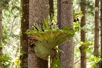 IMG_3156