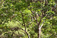 IMG_3159
