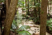 IMG_3183