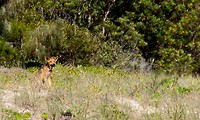 IMG_3214