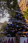 IMG_3516