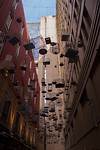 IMG_3521