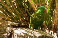 IMG_3674