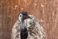 IMG_3735