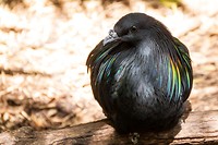 IMG_3806
