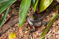 IMG_3812