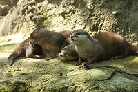 IMG_3821