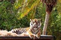IMG_3855