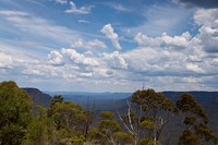 IMG_3945