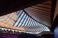 IMG_4130