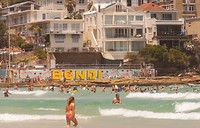 IMG_4471