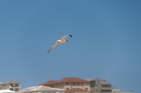 IMG_4493