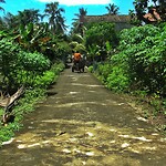 Java 2014 - 03 - Pangandaran 11