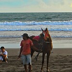 Java 2014 - 03 - Pangandaran 17