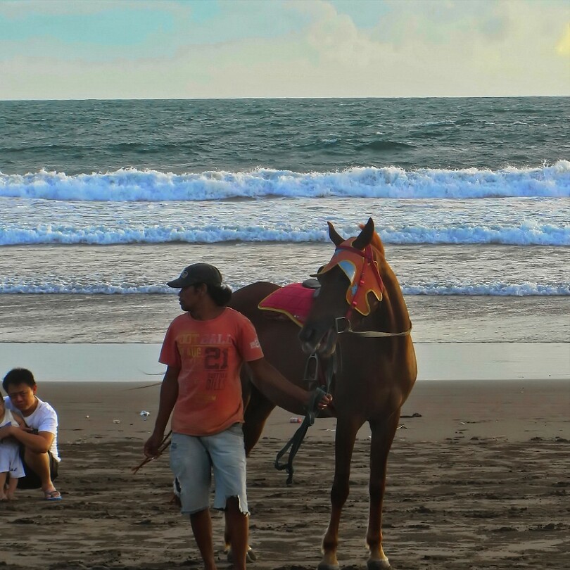 Java 2014 - 03 - Pangandaran 17