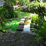 Java 2014 - 05 - Pangandaran - Adam's Homestay 05