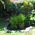 Java 2014 - 05 - Pangandaran - Adam's Homestay 08
