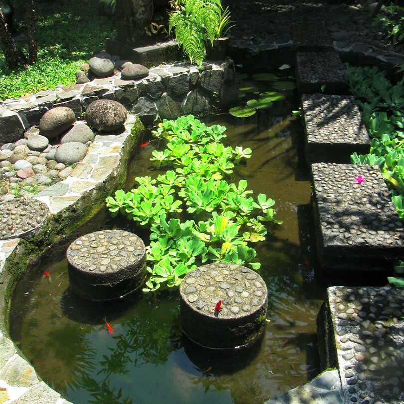 Java 2014 - 05 - Pangandaran - Adam's Homestay 11
