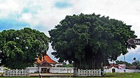 Java 2014 - 06 - Yogyakarta 12